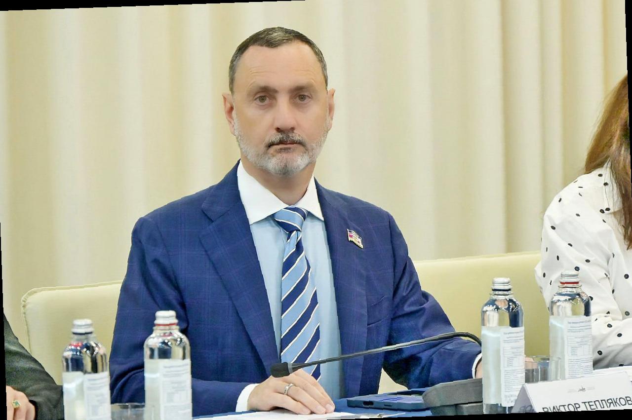 Виктор Тепляков принял участие в рабочей группе форума «Петербургский диалог»