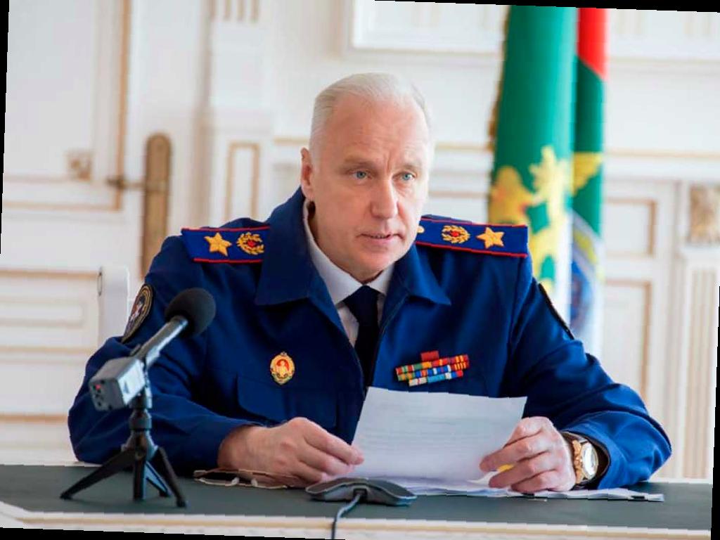 Бастрыкин расследует случай нападения собаки на ребёнка в ЖК «Моравия» в Сочи