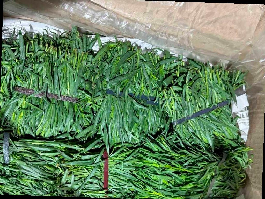 Обнаружена зараженная тархуном партия из Армении в аэропорту Сочи