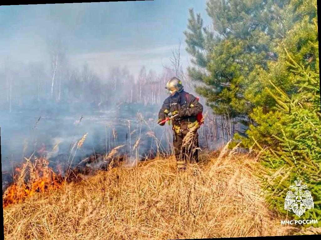 В лесах Краснодарского края временно запретили разводить костры и жарить шашлыки с 12 июня по 2 июля. Это сделано для предотвращения возгораний, сообщили в Центре управления регионом. Прогулки пешком по лесу разрешены, но нужно соблюдать меры безопасности. В МЧС Кубани объявили о повышенной опасности пожаров в некоторых районах края. Фото: МЧС России / t.me/mchs_official.