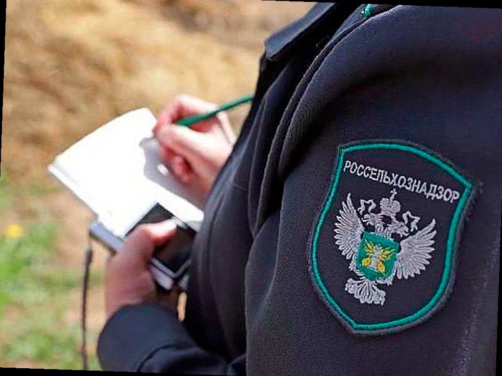 В Адыгее выявлены 7 зон с опасным сорняком