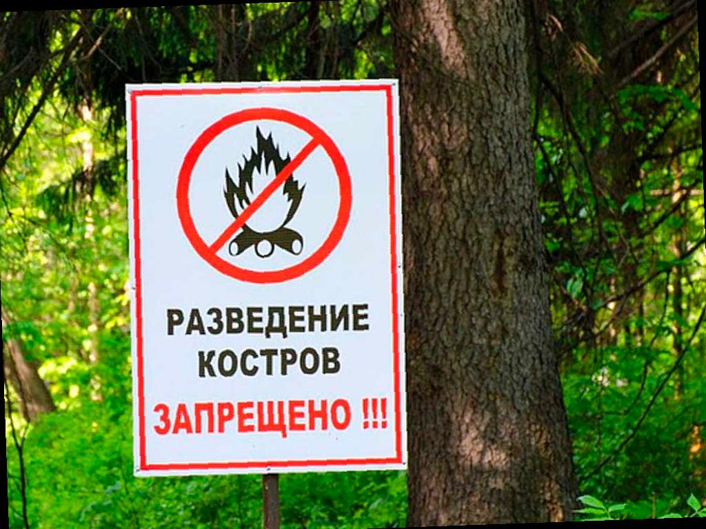 В Сочи объявлена пожароопасность 4 класса