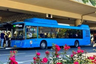 Круглосуточное движение автобуса № 105А в Сочи начнётся 1 июня