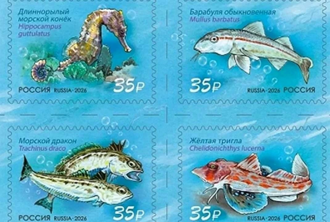 Почта России выпустила марку с морскими обитателями Черного моря