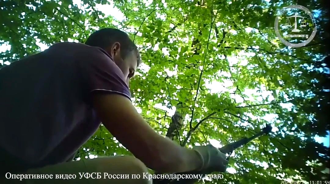 Приговор по делу о незаконном обороте оружия в Сочи