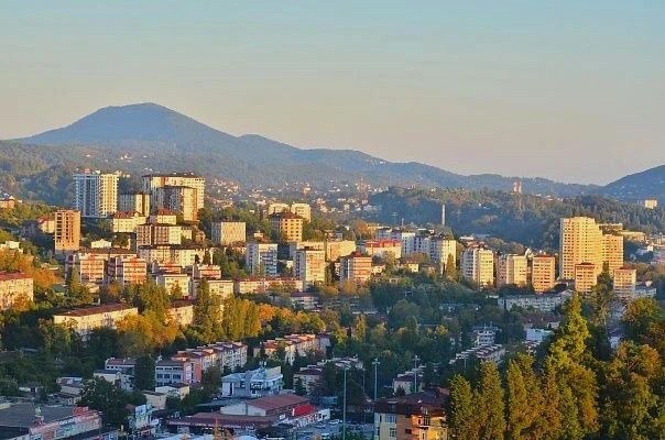 Контроль за торговлей и парковкой в Сочи принес 23,5 миллиона рублей