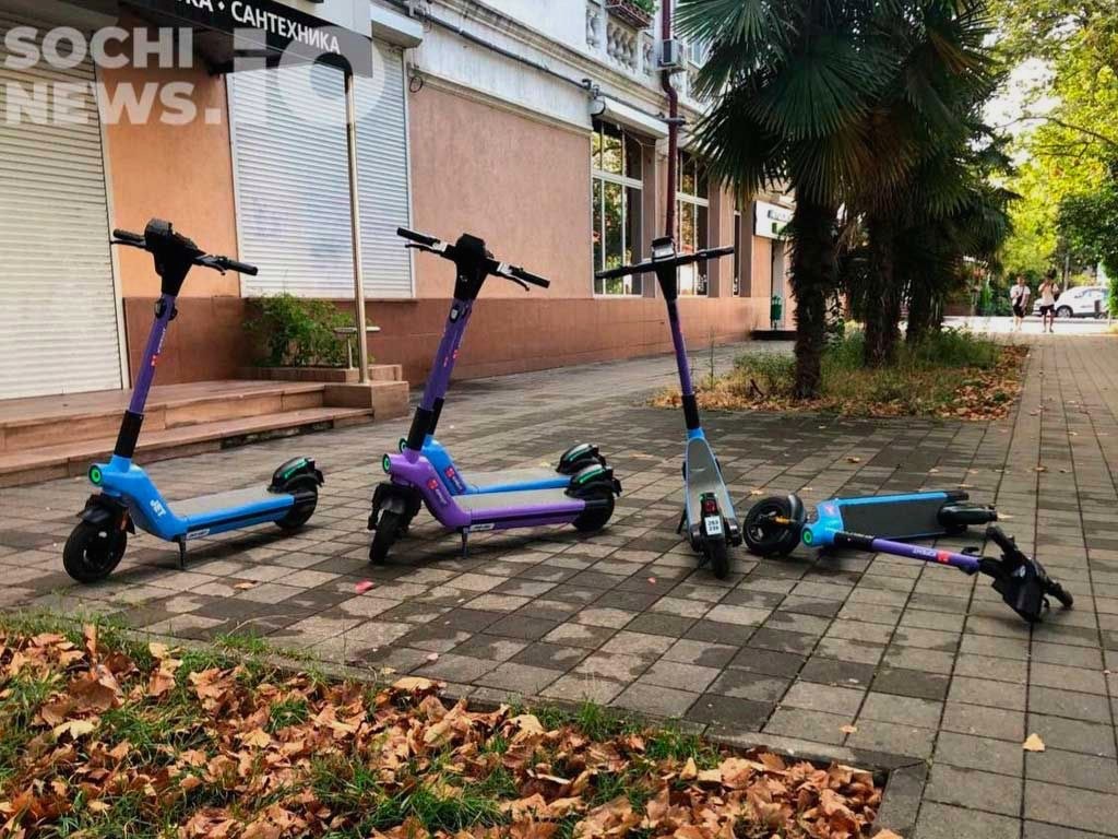 Запрет на самокаты в Сочи может зависеть от мнения жителей