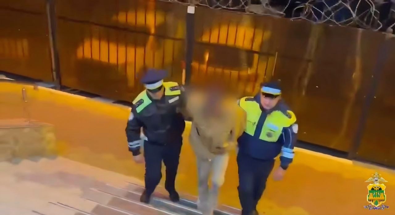 В Адлере полицейские со стрельбой и погоней задержали угонщика иномарки с автозаправочной станции